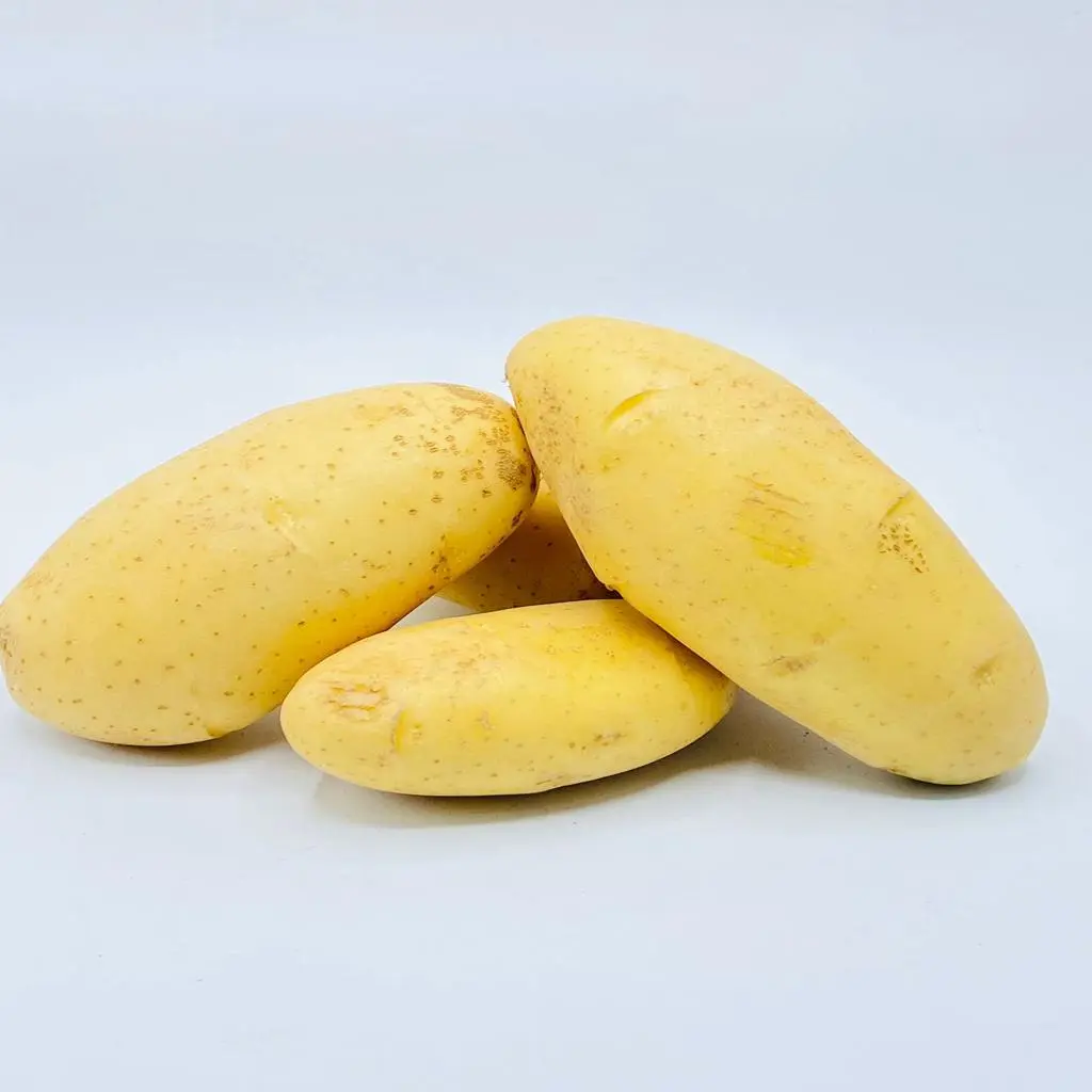 بطاطس